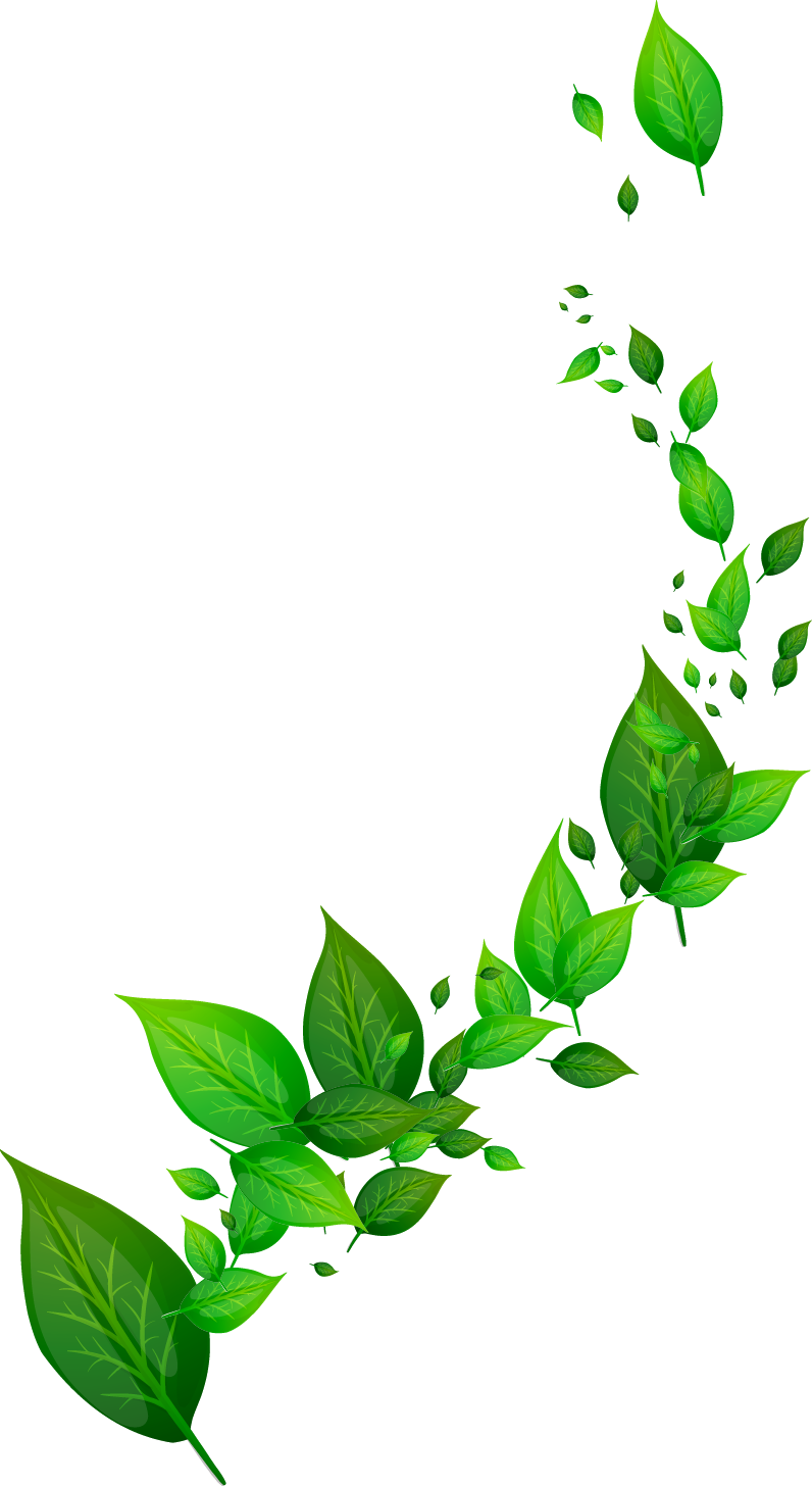 Acasă